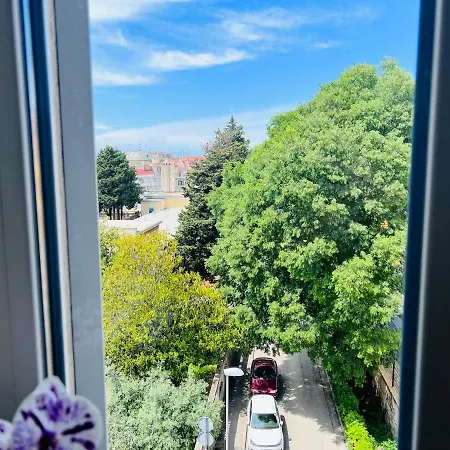 For Special Getaway Rose * 풀라