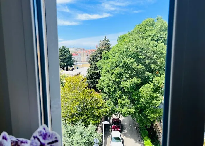 For Special Getaway Rose With Free Parking * Pula